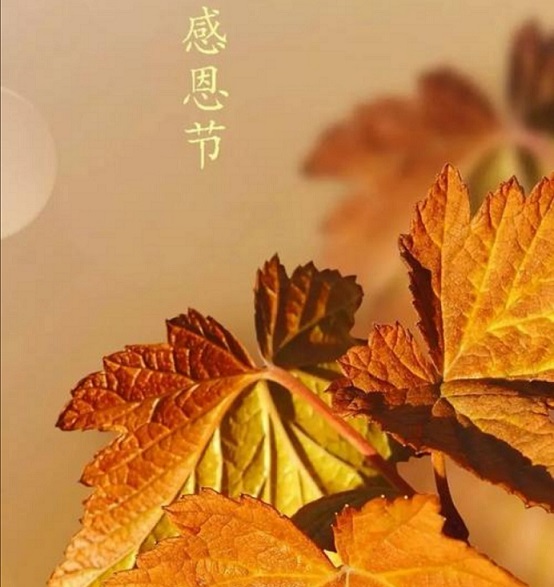 感恩遇見！